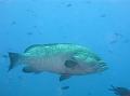 IMG_4511 r1